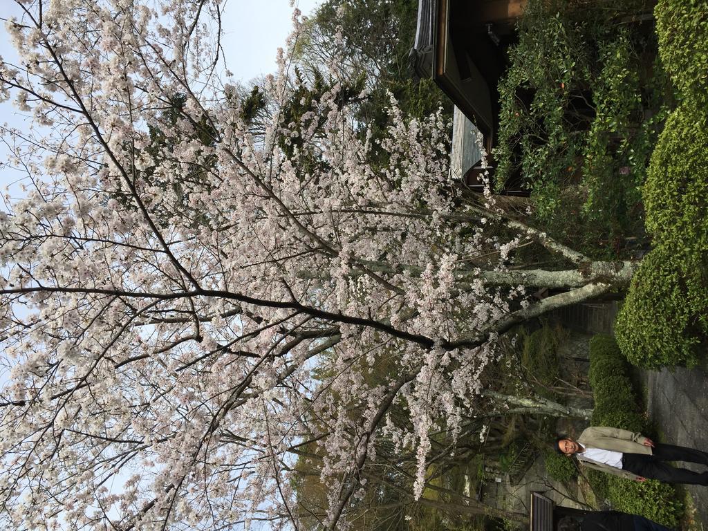 Ryokan Uemura Kyoto Luaran gambar