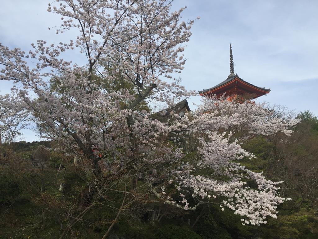 Ryokan Uemura Kyoto Luaran gambar